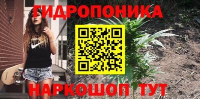 молекула духа Малоярославец