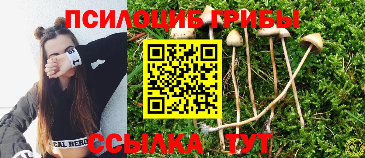 Псилоцибиновые грибы ЛСД  Галлюциногенные грибы Psilocybe  Черкесск  Вход с VPN 