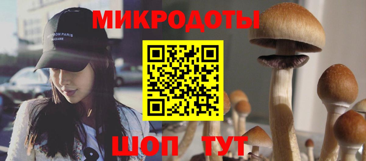 Галлюциногенные грибы Psilocybine cubensis Черкесск